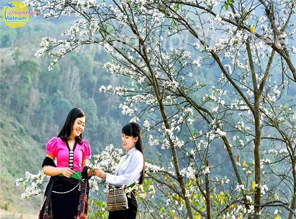 Tour du lịch Điện Biên lễ hội hoa ban (3 ngày 2 đêm)